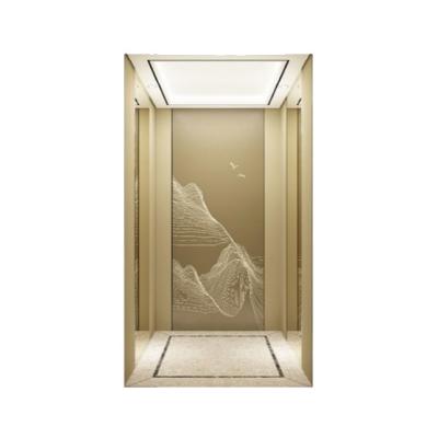 China Goedkope FUJI Home Lift Kleine villa Lift Lift Te koop