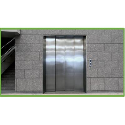 China Opening Width 700*1300mm Floor Landing Door Center-Opening Doors For Elevator Lift for sale