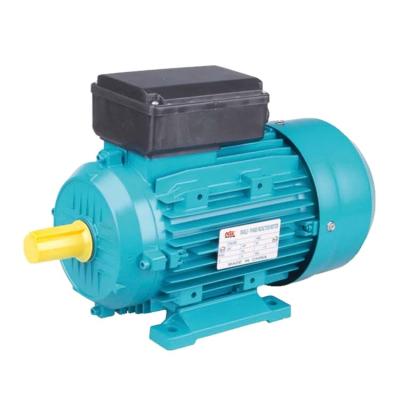 China Power Tools 2.2 Kw 220v 3hp Single Phase Totally Enclosed Electric Motor for sale