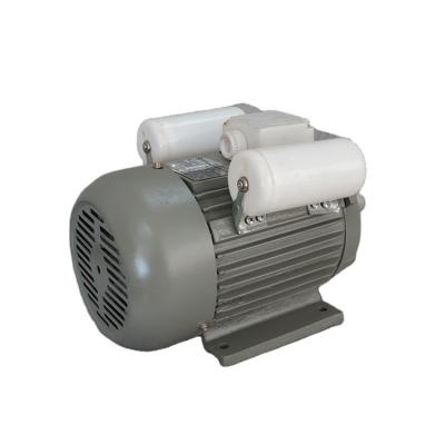 China Good quality manufacturer YL 100L1-4 capacitor start and run totally enclosed single phase electric motor for sale