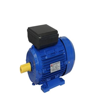 China 22kw 30hp Y2 Three Phase Electric Motor Totally Enclosed Price for sale