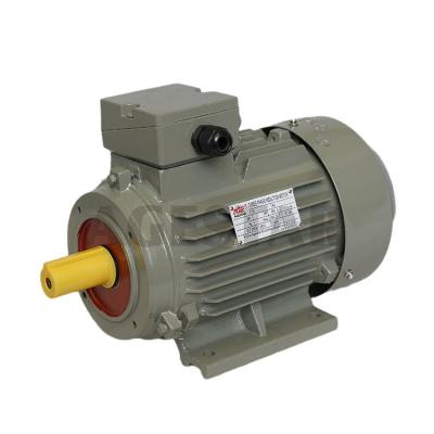 China High Quality Three Phase Asynchronous 3HP Electric Motor from China Totally Enclosed Manufacturer for sale