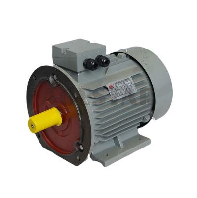 China Cheap Totally Enclosed Three Phase AC Asynchronous Electric Motors from AGESTAR for Sale for sale