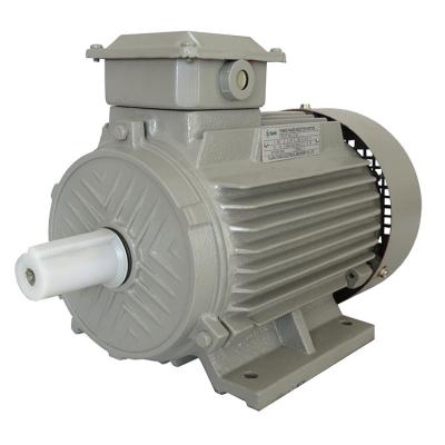 China Y2 100L-2 Totally Enclosed Asynchronous Cast Iron Housing Three Phase Motor for sale