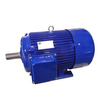 China Totally Enclosed Low Noise Cast Iron 380v Housing Class B F H 30kw Electric Motor for sale