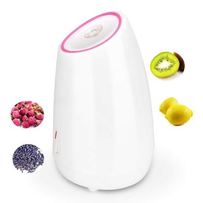 China Electric Facial Steamer Nano Mist Steamer Fruit Vegetable Spa DEEP CLEANSING Facial Inhaler For Women for sale