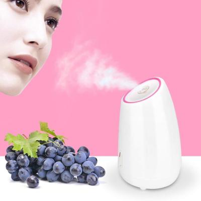 China Multifuncational Nano Friut Ionic Facial Steamer DEEP CLEANSING Facial Steamer Spray Mist Face Hydration Spa for sale