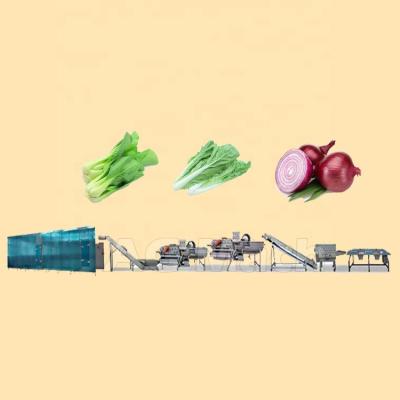 China fruit & Vegetable Cabbage Brush Roller Washing Machine Fruit Cleaner Processing Production Line for sale