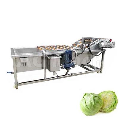 China fruit & Vegetable High Speed ​​Apple And Pear Bubble Machine Pineapple Flat Brush Peeling Cleaning Plant for sale