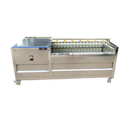 China High Efficiency Easy Operate Fruit And Vegetable Peeler Carrot Potato Brush Peeling Machine for sale