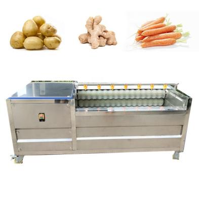 China High Efficiency Easy Operate Ginger Sweet Tomato Peeling Washing Brush Cleaning Machine for sale