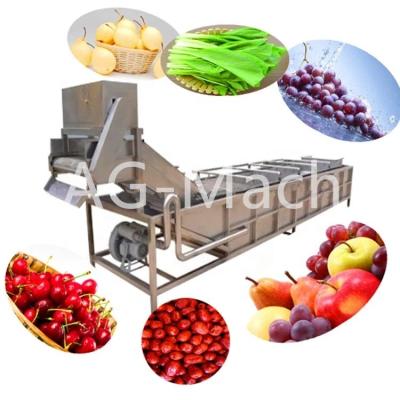 China Industrial Vegetable Fruit Processing Plant Air Bubble Remover Fruit Washing Machine for sale