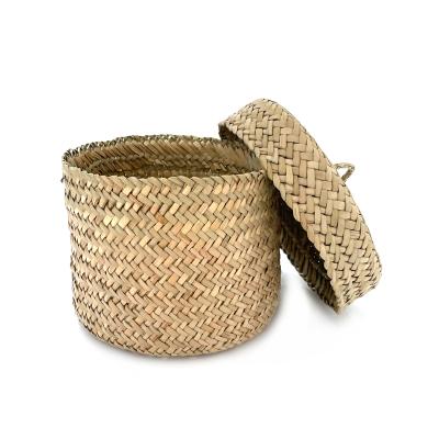 China Hot selling Amazon household water hyacinth storage basket handmade plant plankton woven woven basket with cover for sale