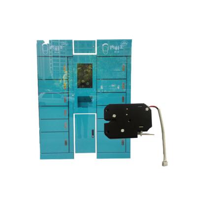 China High quality low carbon steel electronic electromagnetic lock for refrigerator locker for sale