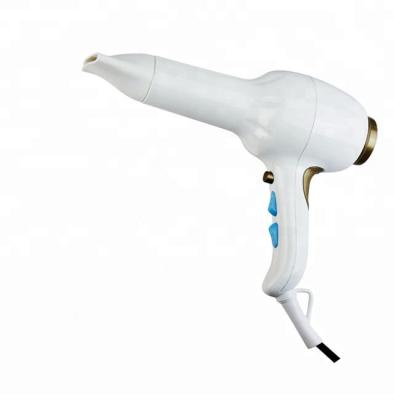 China 2000W Salon Professional Hair Dryer Machine AC Motor Ionic Salon Hair Dryer Tools Wholesale for sale