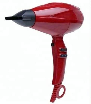 China Ionic Professional Hair Dryer for Salon Hair Styling Compact Travel Hair Blow Dryer with Cold Shot for sale