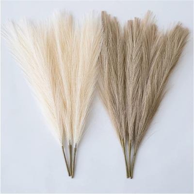 China Eco-Friendly Amazonian Faux Pampas Grass Beige Fluffy Bouquet Dried Flower 17.7