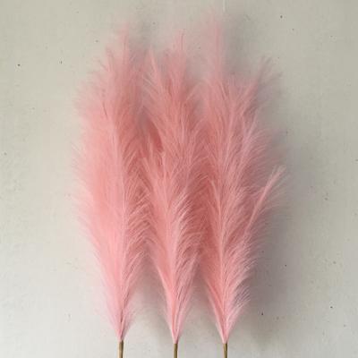 China Eco - Friendly Decoration KCPG-019 Natural Dry Wedding Artificial Pampas Grass for sale