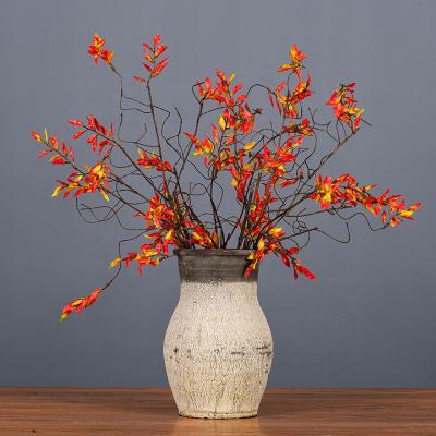 China Wholesale Bulk Natural Indor Decoration Plant Autumn Color Leaf Stem For Indoor Layout Decorations for sale