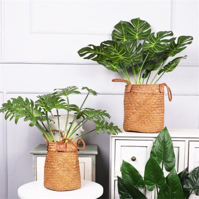 China Indor Decoration Touch Wholesale Bulk Real Tropical Plant Artificial Turtle Leaves For Indoor Home Decorations for sale