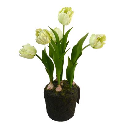 China Hot Selling Eco-friendly 53CM Real Bonsai Tulips Touch Artificial Flowers In Pot Artificial Tulip Potted Flower For Home Wedding Decoration for sale