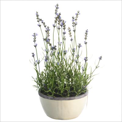 China Natual Touch Artificial Lavender Garden Decor Bonsai With Potted Simulation Lavender Plant Artificial Lavender Plants For Home Decoration for sale