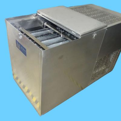 China Customize Energy Saved 2000kw Flake Ice Machine Beer Cooling Pillow Plates Ice Pack for sale