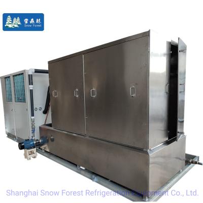 China Customize High Efficiency Fridge 10 Ton Falling Layer Ice Machine For Sale for sale