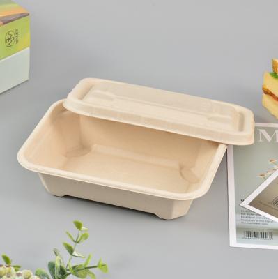 China Wholesale Disposable Degradable Sugar Cane Pulp Lunch Box Salad Take Out Box With Cover Manufacturers for sale