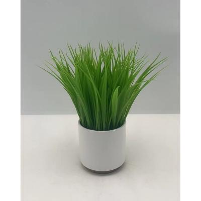 China Home/Office Artificial Greenery Plants, Outdoor Fake Plants Decor, Plastic Wheat Grass Acorus UV Resistant Calamus For Window Box Garden for sale