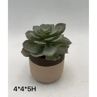 China Home/Office Plants Artificial Succulents in Mini Brown Ceramic Pots, Small Fake Succulents Plants Adromischus cristatus, Indoor Faux Succulent for sale