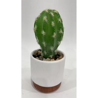 China Home/Office Succulent Plant Artificial Cacti, Echinopsis Subdenudata, Polaskia Faux Chicipe Desert Cactus Plant With Black Planter for sale