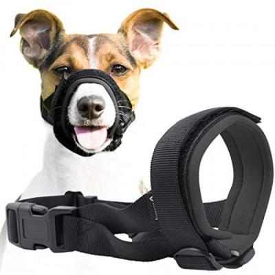 China Thoughtful soft muzzle guard for dogs - prevents unwanted biting chewing safely secure comfort fit - soft neoprene padding for sale