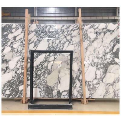 China Modern White Italy Arabescato Marble Slab, Arabescato Marble Price, Arabescato Marble for sale