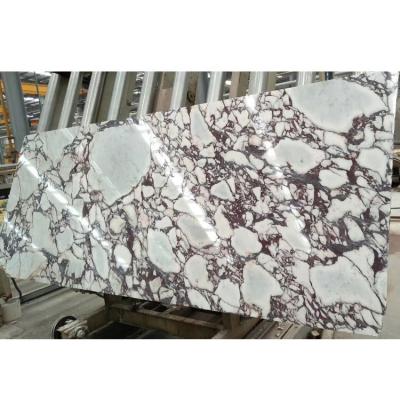 China Italy Modern Price Calacatta Viola Calacatta Purple Marble Slabs, Calacatta Vagli Marble for sale