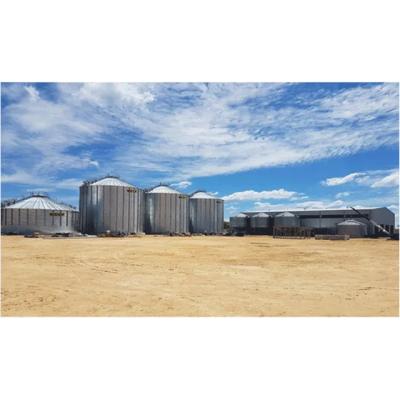 China Steel Structure Warehouse Steel Structure Poultry Farm Shed Chicken Layers House for sale