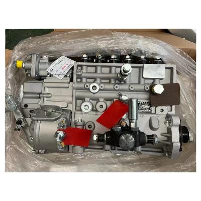 China Other CYEFI Fuel Injection Pump VG1246080097 D12 Truck Diesel Engine for sale