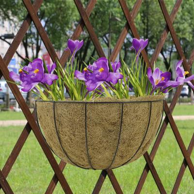 China Europe Iron Wire Coconut Fiber Basket Pan Flower Round Dish Hanging Flower Tray Hanging Hanging Basket for sale