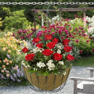 China Europe Coconut Fiber Basket Flower Basket Round Dish Flower Hanging Flower Tray Hanging Hanging Basket for sale