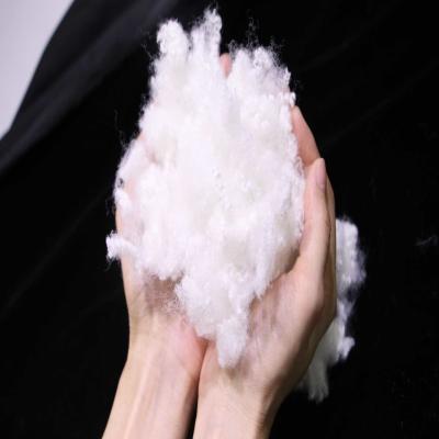 China Recycled Polyester Staple Fiber 51mm Hollow Fiber Fill For Non Woven Fabric for sale