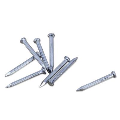 China Hot Sale Good Quality Concrete Steel Nail Flat 3/4