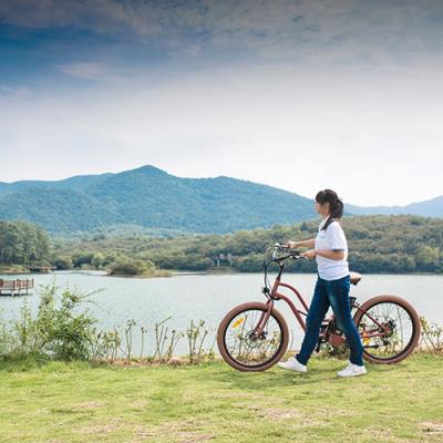 China Cheap aluminum alloy beach cruiser electric bicycle pedelec ebike for women electric bicycle. for sale