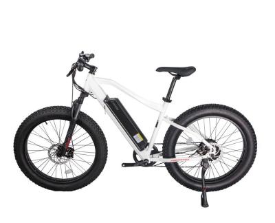 China Aluminum Alloy High Power Long Range 48V 750W Full Suspension Mountain City Electric Bike with 27 Speed ​​Gears for sale