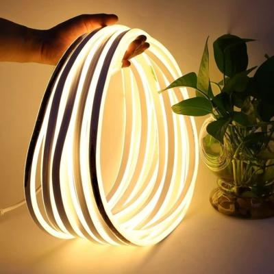 China Home decoration lightings silicone neon led dimmable indoor and outdoor decorative lights waterproof IP67 with optional power plug for sale