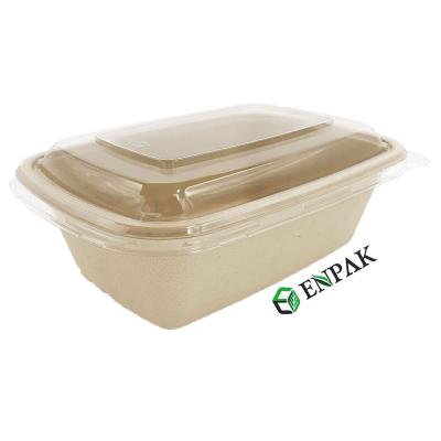 China Environmental Bagasse Disposable Biodegradable Food Container With Lid for sale