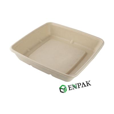 China Disposable Biodegradable Sugar Cane Bagasse Food Container Dish Tray for sale