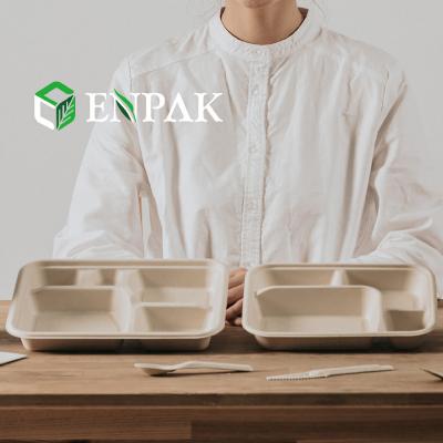 China Biodegradable Paper Pulp Tray Disposable Bamboo Rectangular Bagasse Plates for Restaurant for sale