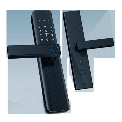 China Waterproof TTlock Alluminum Alloy Code Smart Card Password Fingerprint Glass Door Locks Intelligent Electronic Smart Door Handle Lock for sale