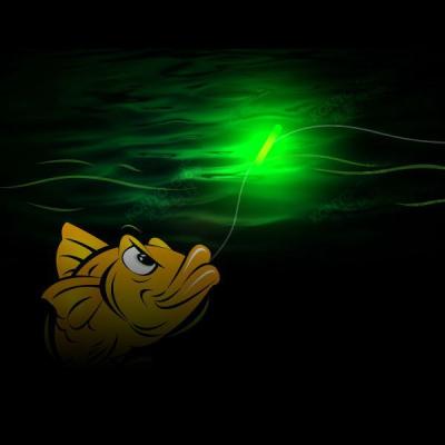 China Fun Stick Light Night Fishing Float Rod Lights Glow in the Dark for sale