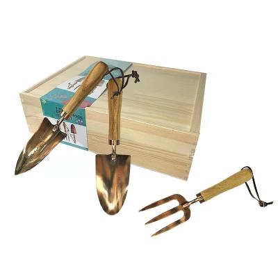 China New Design Yard Garden Tool Kit With Wooden Handle Stainless Steel for sale